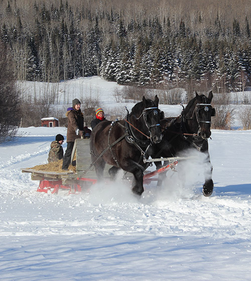 Sleigh Rides