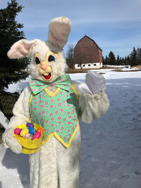 The easter Bunny is Coming to Gammondale